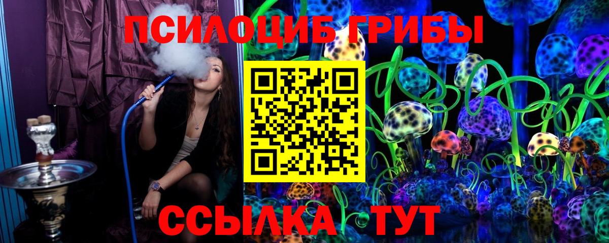 Галлюциногенные грибы Cubensis Березники