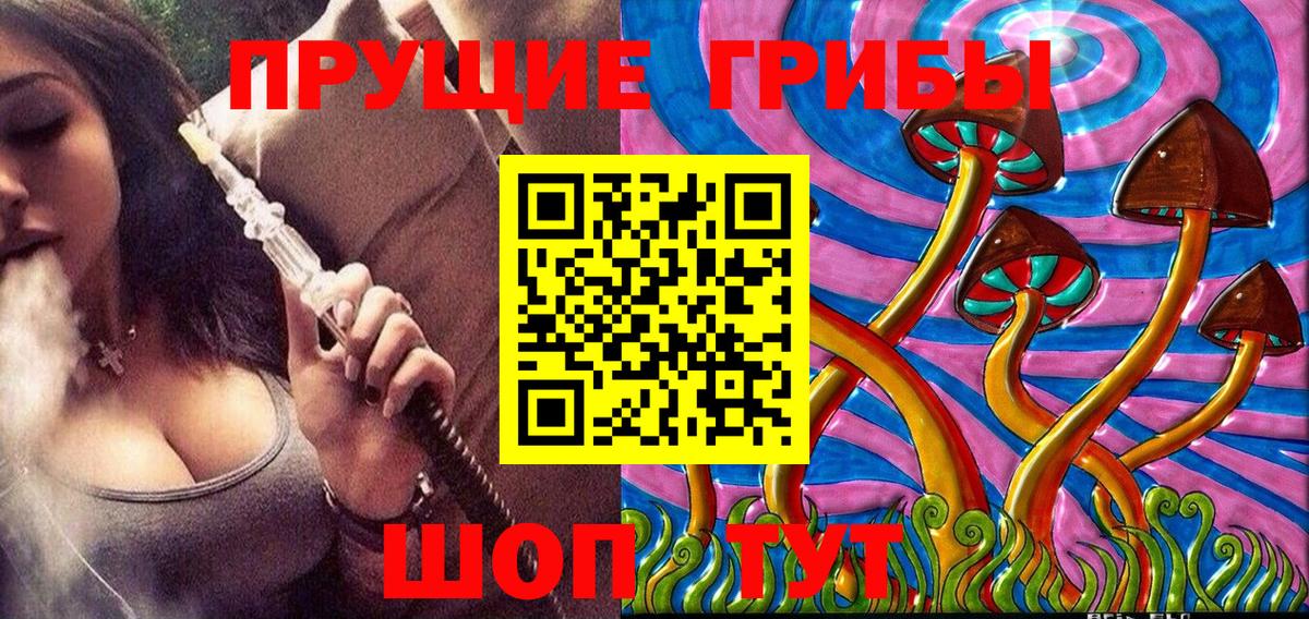 Березники  Галлюциногенные грибы Psilocybe  Вход с VPN 